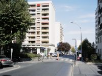 17 Meudon-la-Foret 2009